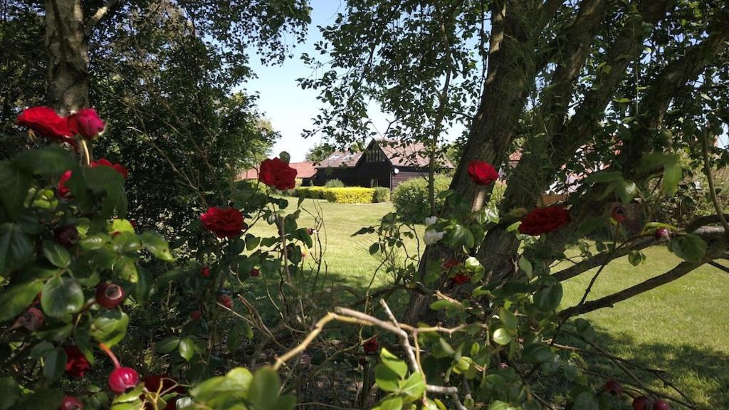 Paddock Barn ~ Short & Long Term Stay, Pets Welcome ~ Woodbridge, Framlingham Ar Cretingham Exteriör bild